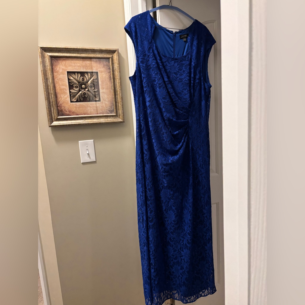 Asl Tahari Rauched Gown